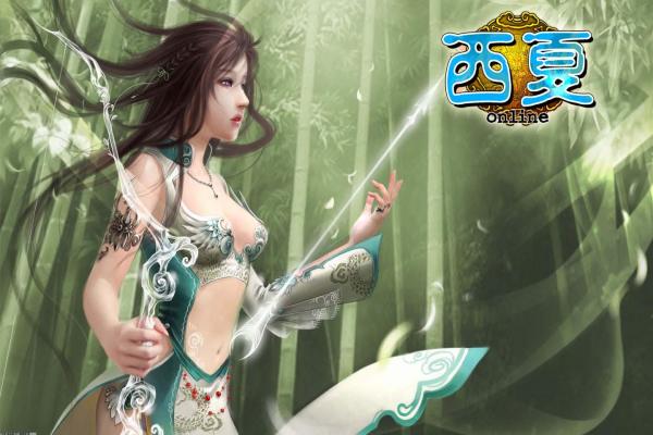 天龙八部2飞龙战天副本的全关卡解析与秘诀(图1)